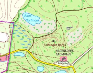 FalsingerBerg